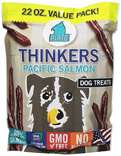 Plato Treats Thinkers Salmon Treat 22oz