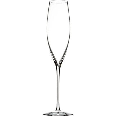 Elegance Champagne Classic Flute 8.5 oz Set/2 (not in pricelist)