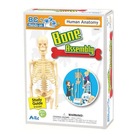 Bone Assembly