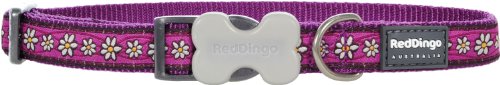 Daisy Chain Purple Dog Collar,Medium/Large