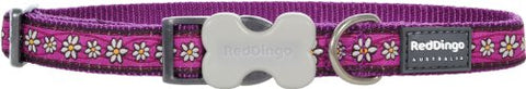 Daisy Chain Purple Dog Collar,Medium/Large