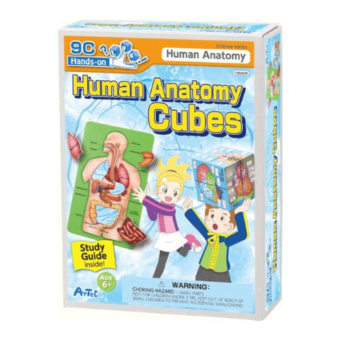 Human Anatomy Cubes