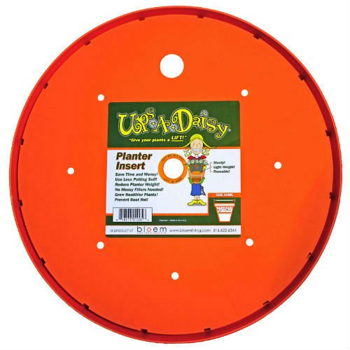 BLOEM T6323 UPS A DAISY ORANGE, 13"