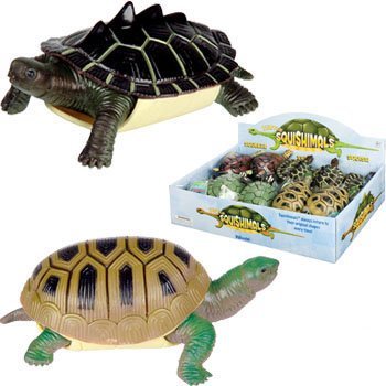 Turtle Squishimals