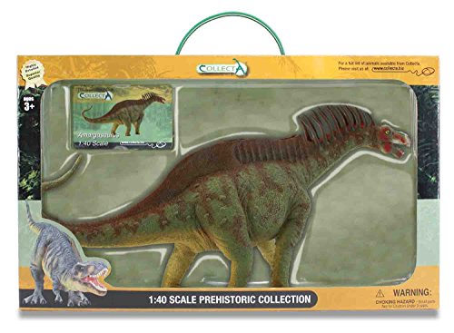 Amargasaurus in Window Box, Deluxe