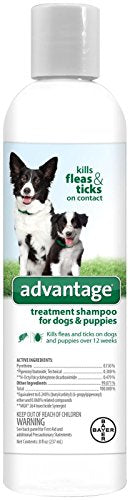 Dog & Puppy Flea & Tick  Shampoo 8 oz Bottle