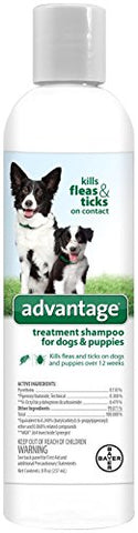 Dog & Puppy Flea & Tick  Shampoo 8 oz Bottle