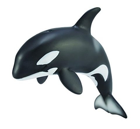 Sea Life - Orca Calf
