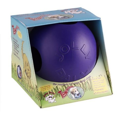 Jolly Pets Teaser Ball - Purple, 8"