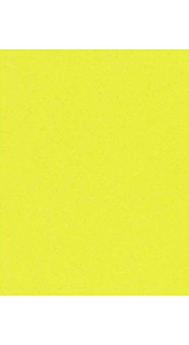 8 1/2 x 11 Cardstock - Citrus (50 Qty)