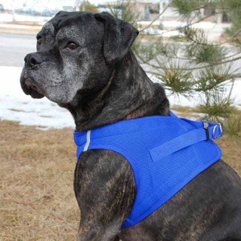 CHOKE FREE REFLECTIVE STEP IN ULTRA HARNESS - BLUE - ALL SIZES - AMERICAN RIVER (XXL) by Doggie Design