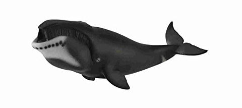 Bowhead Whale, XL