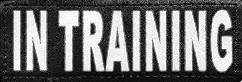 Reflective Removable Patch "IN TRAINING" S/M (set of 2)