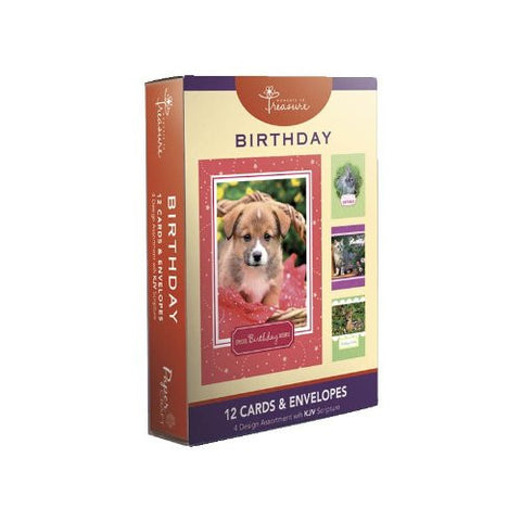 12PK BOXED BIRTHDAY CARDS WITH SCRIPTURE - Animals - 1 box. 4 designs in box. Bulk packed.