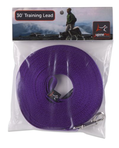 Lupine 1/2" Basics Collection - Purple, 30' Training Lead