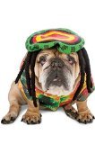 Zelda 70s Rasta Dog Costume, XX-Large