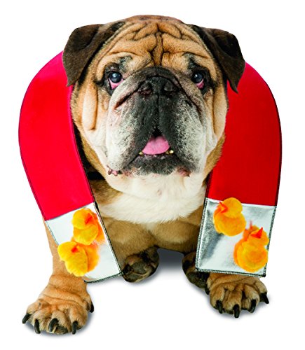Zelda Chick Magnet Dog Costume X-Large/XX-Large