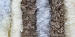 Bernat Baby Blanket Yarn Little Cosmos 72 Yards 3.5 OZ