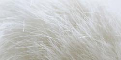 Bernat Pom Pom Yarn White Rabbit 120 Yards