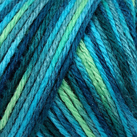 Caron Simply Soft Yarn - Paints Peacock Feather 204 Yards 4 OZ