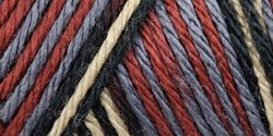 Caron Simply Soft Yarn - Paints Country Charm 204 Yards 4 OZ
