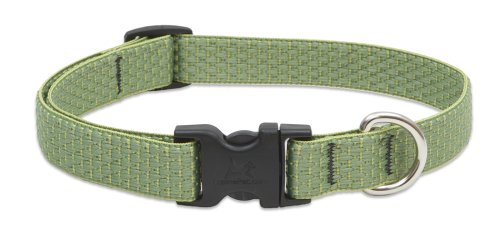 Lupine 3/4" Eco Collection - Moss, 13"-22" Adjustable Collar