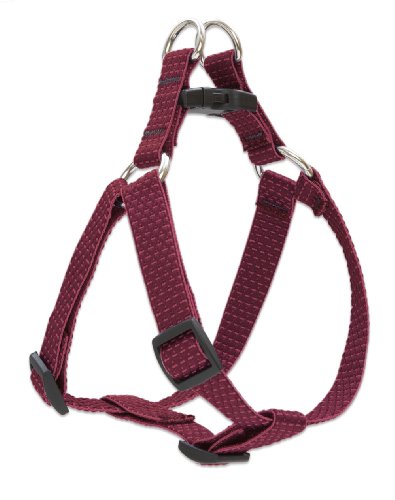 Lupine 3/4" Eco Collection - Berry, 15"-21" Step-In Harness