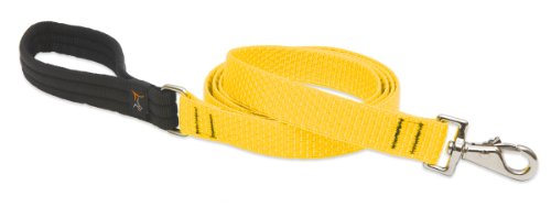 Lupine 1" Eco Collection - Sunshine, 6' Padded Handle Lead