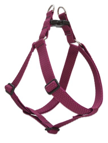 Lupine 1" Eco Collection - Berry, 24"-38" Step-In Harness