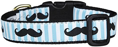 Up Country - Mustache - Dog Collar, Small