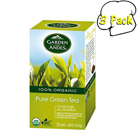 Chilean Garden of the Andes Organic Tea Green Organic Tea - 20 Bags/box