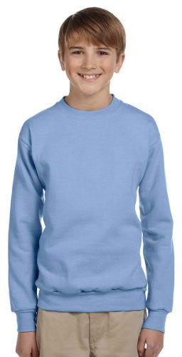 Hanes Youth ComfortBlend Long Sleeve Fleece Crew - p360 (Light Blue / Large)