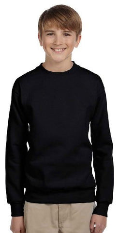 Hanes Youth ComfortBlend Long Sleeve Fleece Crew - p360 (Black / Medium)
