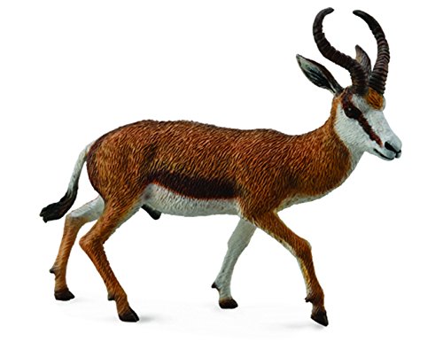 Springbok, L
