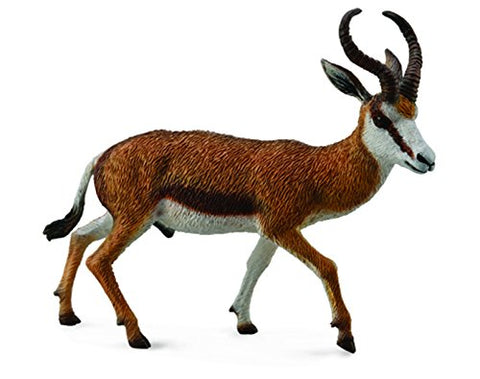 Springbok, L
