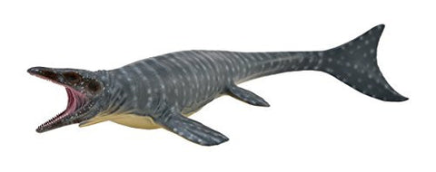 Mosasaurus, XL
