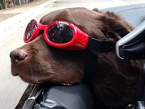 Doggles ILS Shiny Red Frame/Smoke Lens, Extra Small
