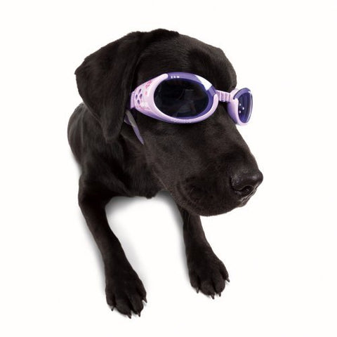 Doggles ILS Lilac Flower Frame/Purple Lens, Small