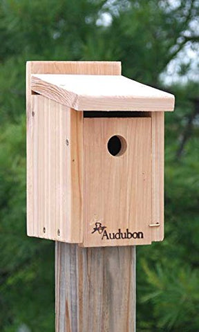 Audubon Wren/Chickadee House  7.4”D X 5.4”W X 9.7”H