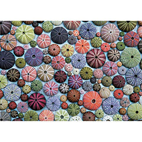 Piatnik 1000pc puzzle, Sea Urchins