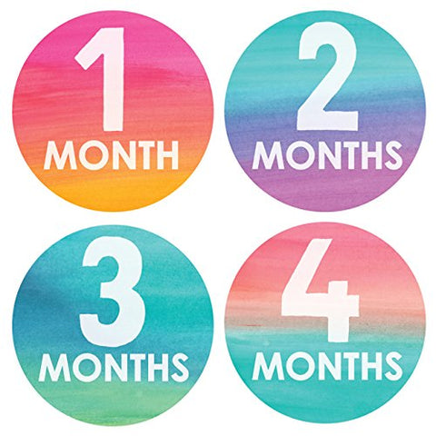 Watercolor Monthly Stickers (12 stickers)