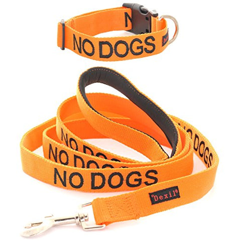 Friendly Dog Collars- No Dogs Standard Length 4ft Lead and
Friendly Dog Collars- No Dogs Small-Medium Snap Collar