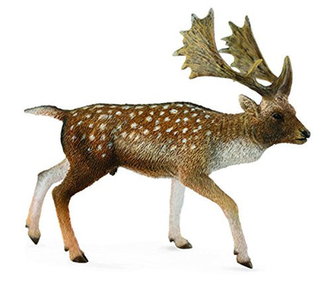 Fallow Deer Male, L
