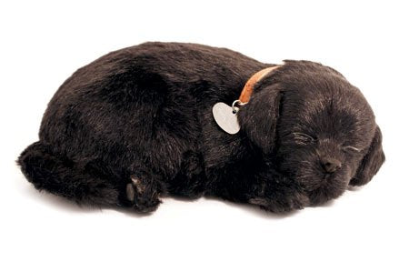 Perfect Petzzz Black Lab Puppy