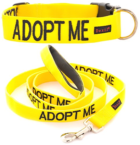 Friendly Dog Collars- Adopt Me Long Length 6ft Lead and 
Friendly Dog Collars- Adopt Me Large-XL Snap Collar