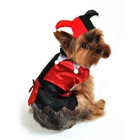Jester Dog Costume, Large (not in pricelist)