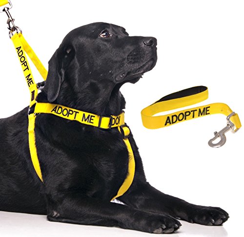 Friendly Dog Collars- Adopt Me Short Length 2ft Lead and
Friendly Dog Collars- Adopt Me Strap Harness 23"-36"