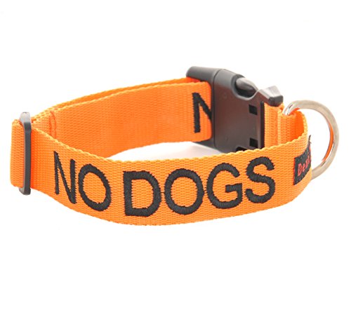 Friendly Dog Collars- No Dogs Small-Medium Snap Collar