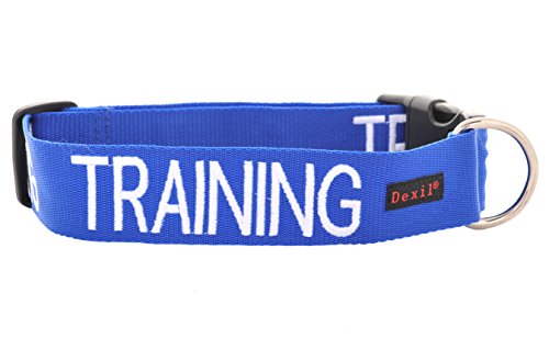 Friendly Dog Collars- Training Large-XL Snap Collar