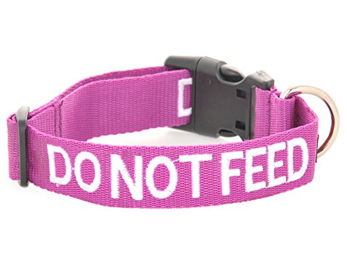 Friendly Dog Collars- Do Not Feed Small-Medium Snap Collar